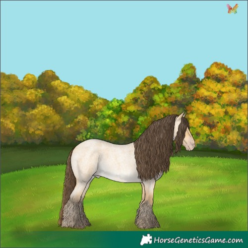 Horse Color:Amber Cream Champagne Roan Rabicano 
