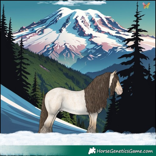 Horse Color:Amber Cream Champagne Roan Rabicano 
