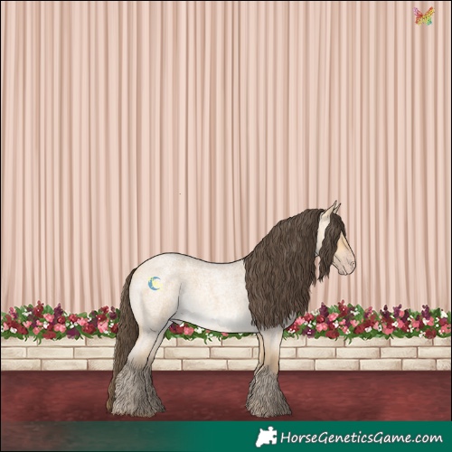 Horse Color:Amber Cream Champagne Roan Rabicano 