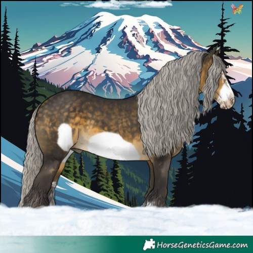 Horse Color:Silver Buckskin Sabino Frame 