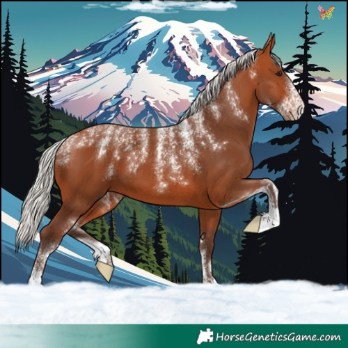 Horse Color:Powder White Silver Bay 