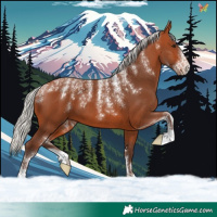 Horse Color:Powder White Silver Bay 