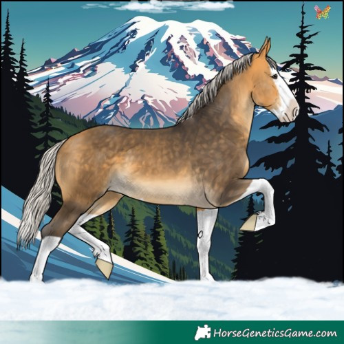 Horse Color:Silver Buckskin Splash 