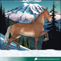 Horse Color:Silver Bay 