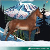Horse Color:Silver Brown 
