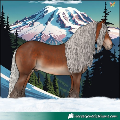 Horse Color:Silver Bay 