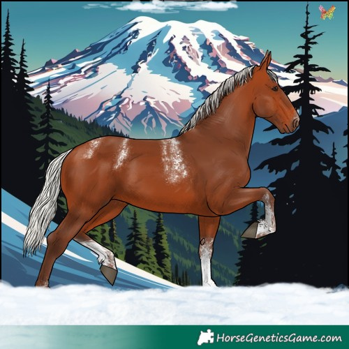 Horse Color:Powder White Silver Bay 