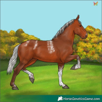 Horse Color:Powder White Silver Bay