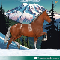 Horse Color:Powder White Silver Bay 
