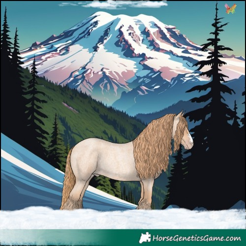 Horse Color:Gold Champagne Roan Rabicano 