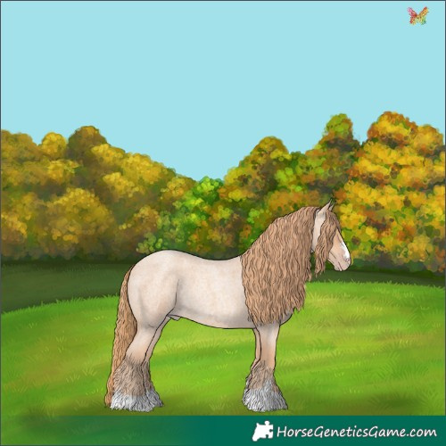 Horse Color:Gold Champagne Roan Rabicano 