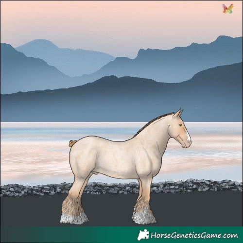 Horse Color:Gold Champagne Roan Rabicano 
