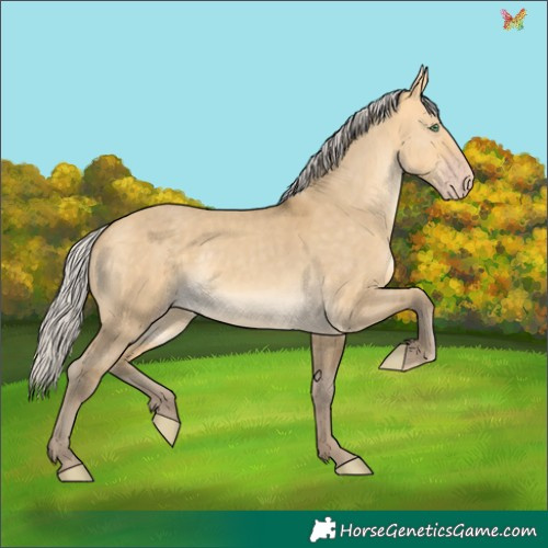 Horse Color:Silver Amber Cream Champagne Dun 