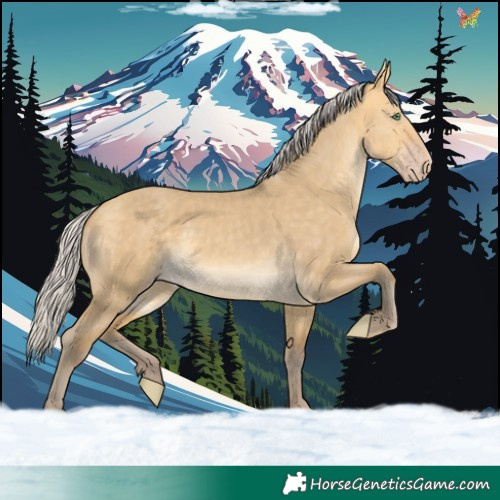 Horse Color:Silver Amber Cream Champagne Dun