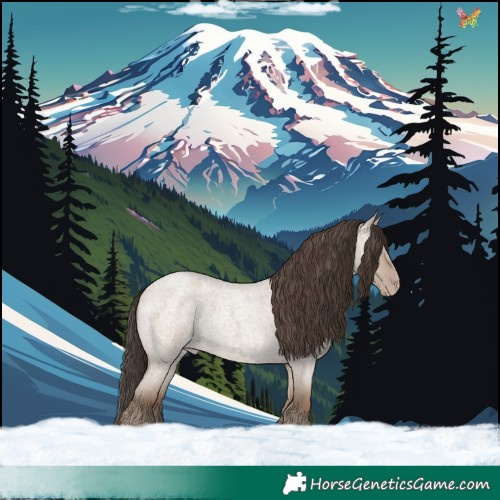 Horse Color:Classic Champagne Roan Dun 