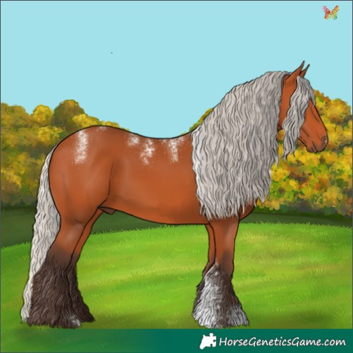 Horse Color:Powder White Silver Bay 