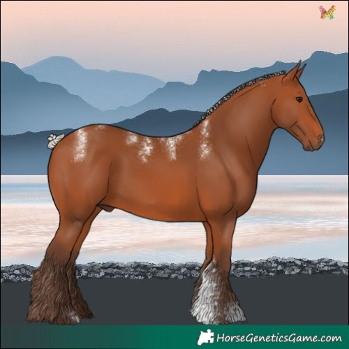 Horse Color:Powder White Silver Bay 