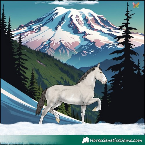 Horse Color:White Spotted Classic Cream Champagne Dun Rabicano 