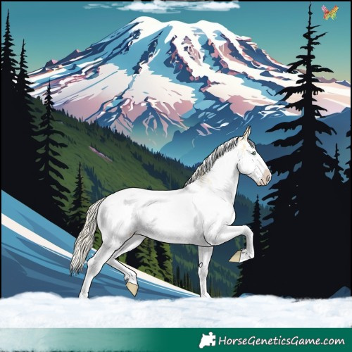Horse Color:White Spotted Gold Cream Champagne Dun Splash Rabicano 