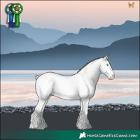 Horse Color:White Spotted Gold Cream Champagne Dun Splash Rabicano 