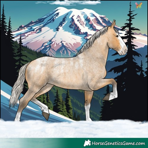 Horse Color:Powder White Silver Buckskin Roan Splash 