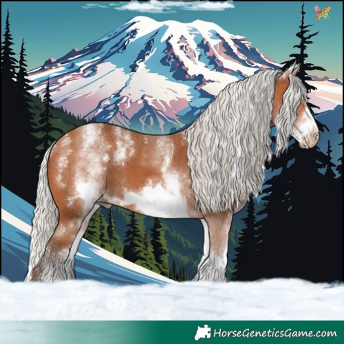 Horse Color:Powder White White Spotted Silver Bay Frame 
