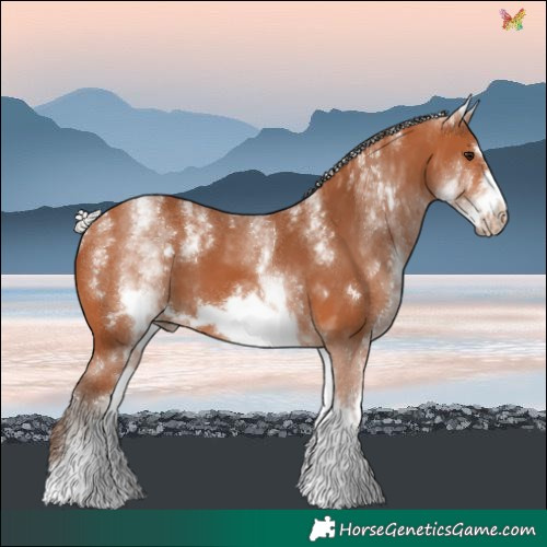 Horse Color:Powder White White Spotted Silver Bay Frame 