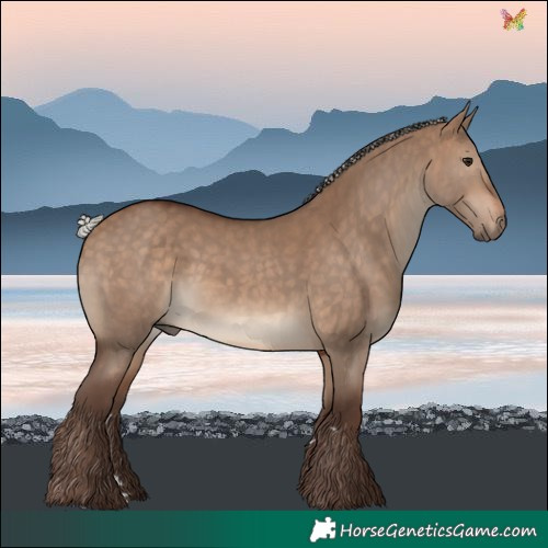 Horse Color:Silver Brown Dun 