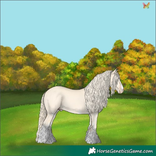 Horse Color:White Spotted Gold Cream Champagne Dun 