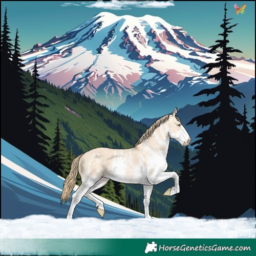 Horse Color:White Spotted Gold Champagne Dun Rabicano