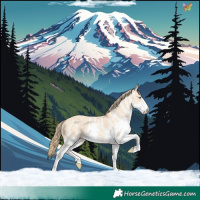 Horse Color:White Spotted Gold Champagne Dun Rabicano 