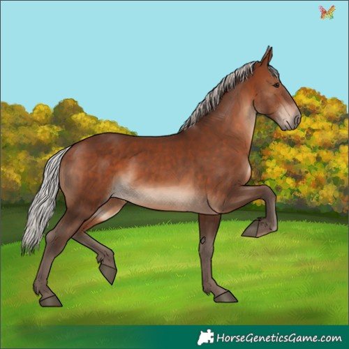Horse Color:Silver Bay