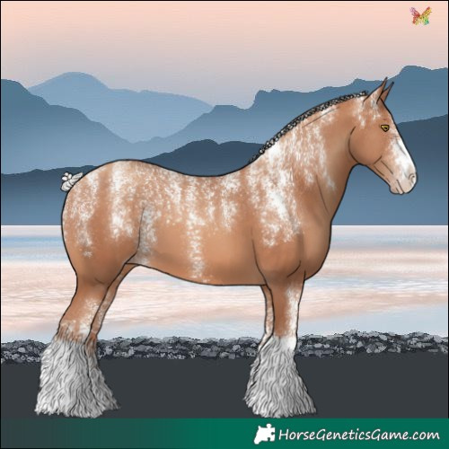 Horse Color:Powder White Silver Sable Champagne 