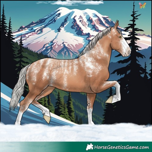 Horse Color:Powder White Silver Sable Champagne 