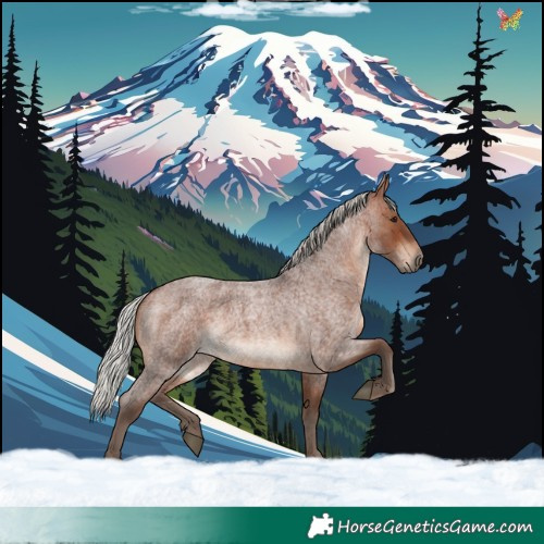 Horse Color:Silver Brown Roan Rabicano