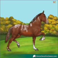 Horse Color:Powder White Chestnut 
