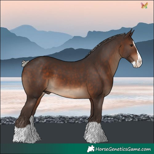 Horse Color:Silver Brown Splash 
