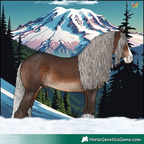 Horse Color:Silver Brown Splash 