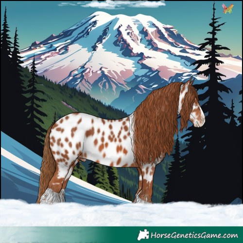 Horse Color:Chestnut Splash Tobiano Appaloosa Rabicano 