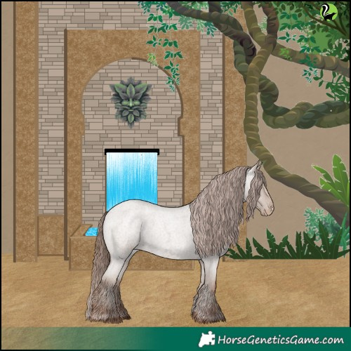 Horse Color:Classic Champagne Roan Appaloosa Rabicano