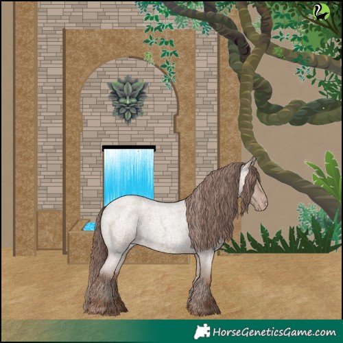 Horse Color:Classic Champagne Roan Appaloosa Rabicano 