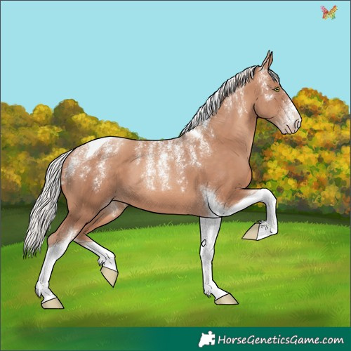 Horse Color:Powder White Silver Sable Champagne Tobiano 