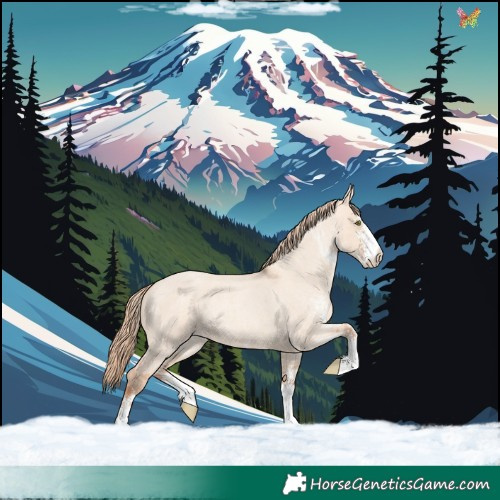 Horse Color:White Spotted Gold Champagne Roan Dun Rabicano 
