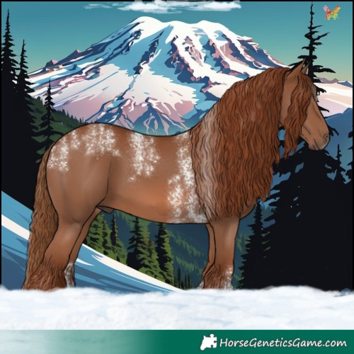 Horse Color:Powder White Chestnut Sabino 