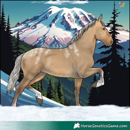 Horse Color:Powder White Silver Buckskin Dun 