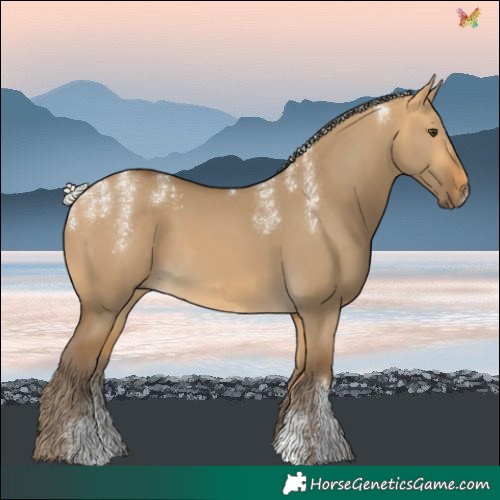 Horse Color:Powder White Silver Buckskin Dun 