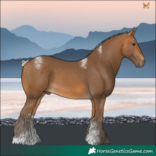 Horse Color:Powder White Silver Buckskin 