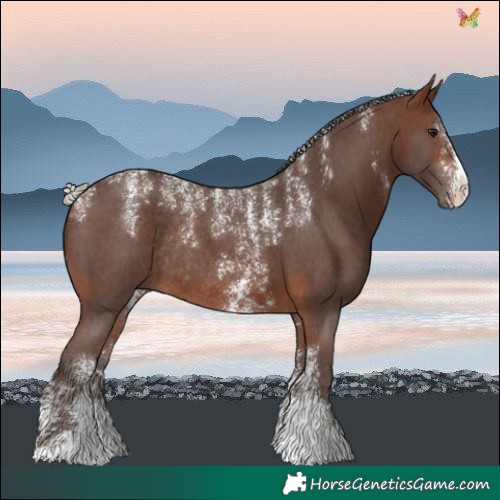 Horse Color:Powder White Silver Brown Sabino Rabicano 