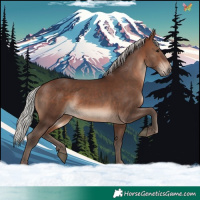 Horse Color:Silver Brown Rabicano
