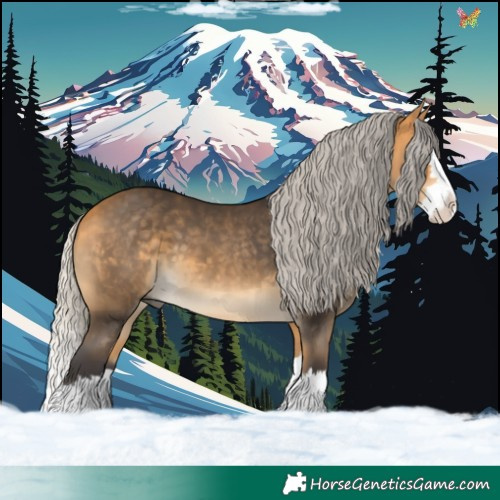 Horse Color:Silver Buckskin Splash 